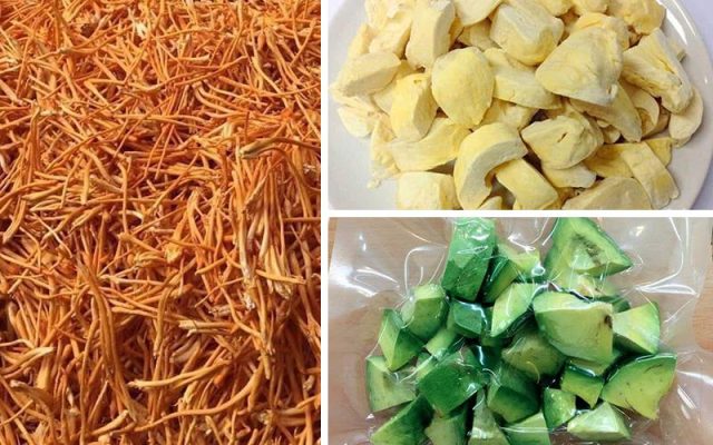công nghệ sấy thăng hoa